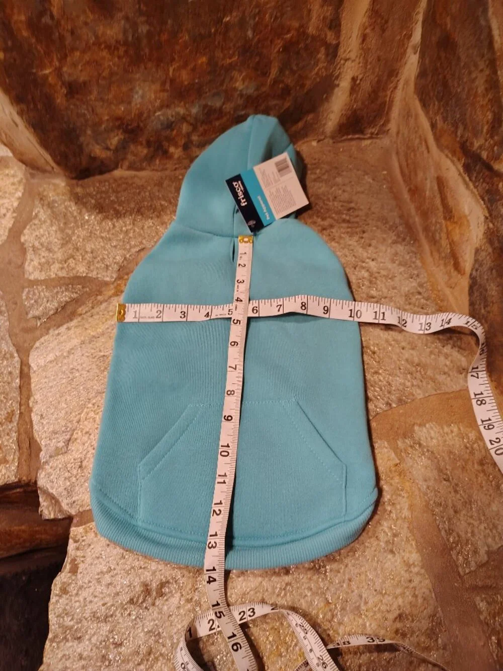 Frisco by Chewy Dog Cat Basic Hoodie Teal Size Medium Girl Boy Polyester Unisex